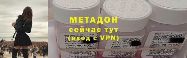 сатива Беломорск