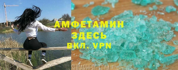 сатива Беломорск