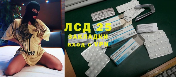 сатива Беломорск